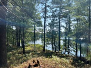 Island 1093 Lake Temagami