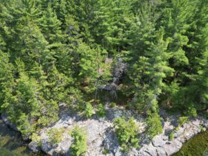 Island 1093 Lake Temagami