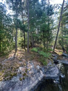 Island 1093 Lake Temagami